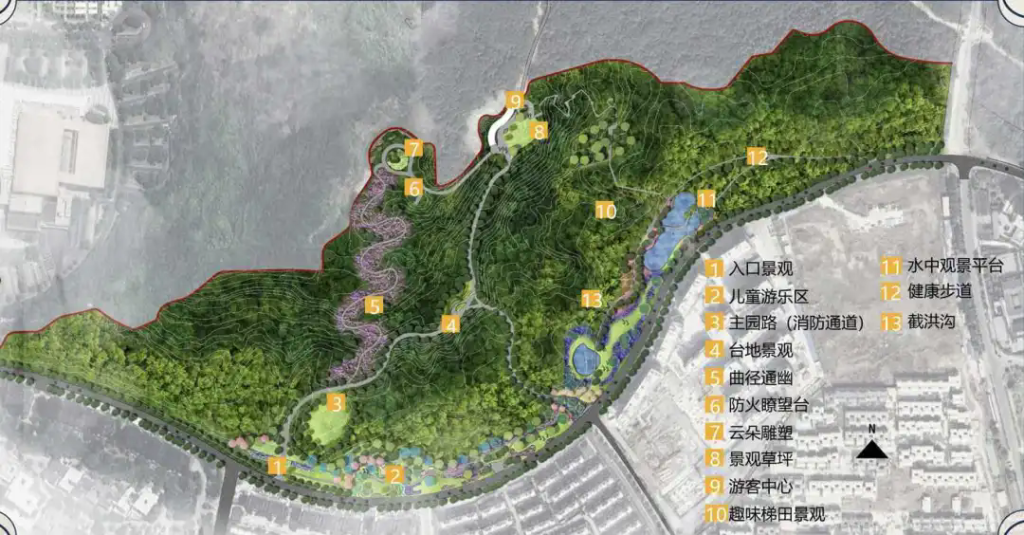 以林相改造为笔，巧绘“城市绿肺”新画卷​