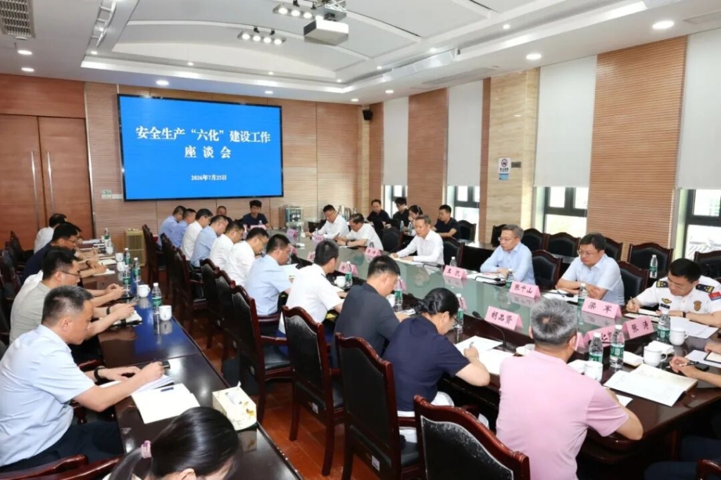 蒋锋到安全生产挂钩镇调研“六化”建设工作