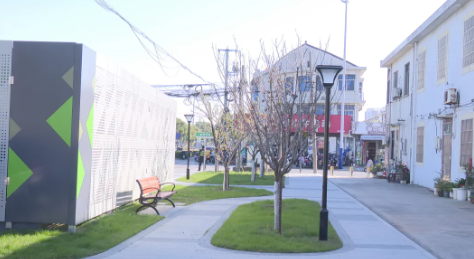 青阳镇：微型绿地上线 方寸空间织就宜居画卷