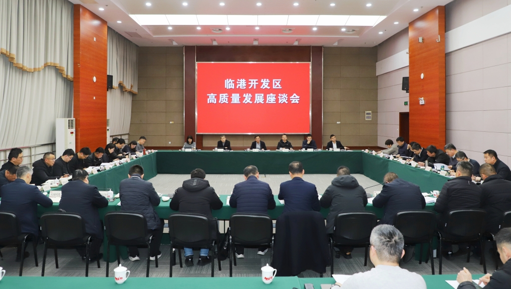 奋楫争先！临港开发区高质量发展座谈会召开